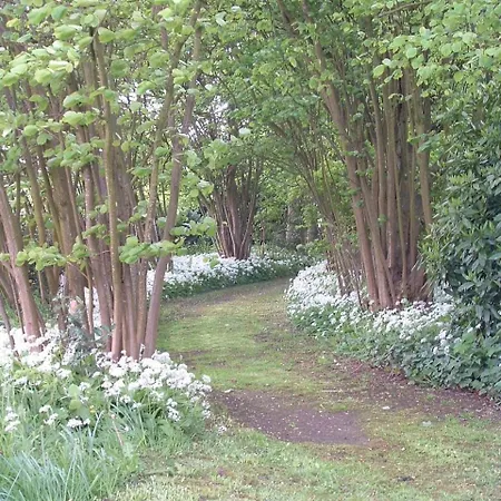 Les Magnolias * Friville-Escarbotin