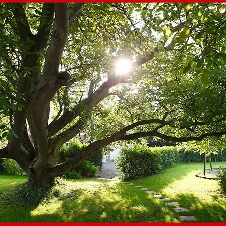 Les Magnolias Friville-Escarbotin