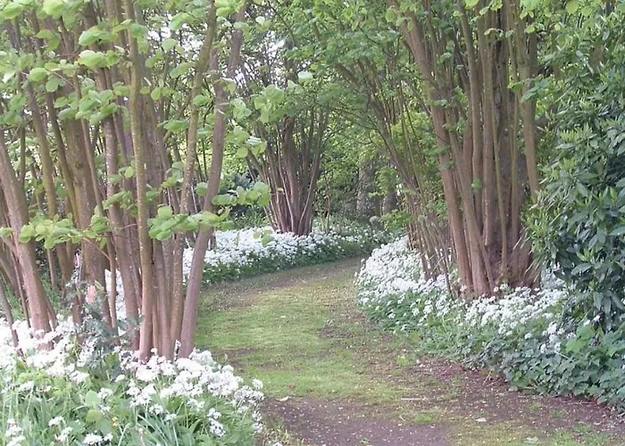 Les Magnolias * Friville-Escarbotin