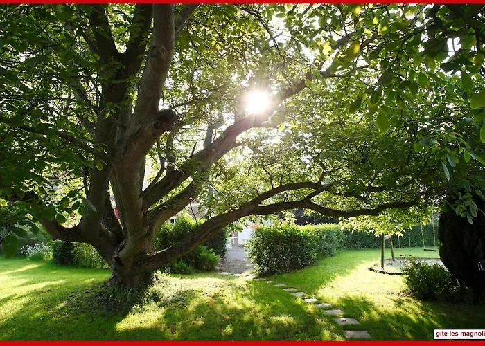 Les Magnolias Friville-Escarbotin